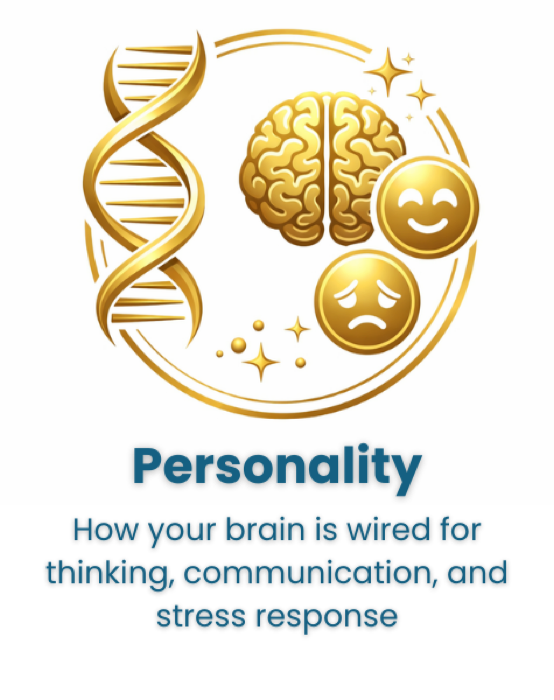 Personality: how your brain is wired for thinking, communication, and stress response
