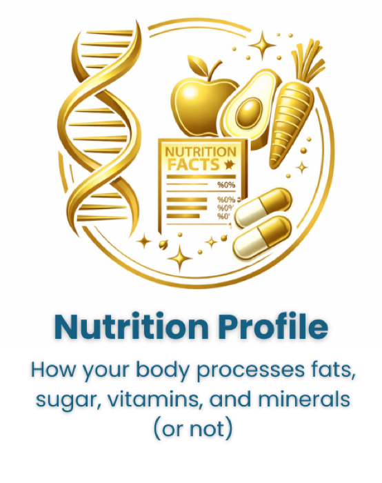 Nutrition Profile: how your body processes fats, sugar, vitamins, and minerals
