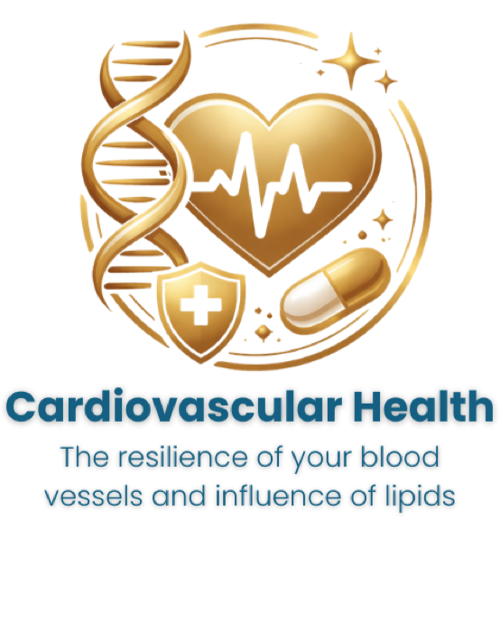 Cardiovascular Health: the resilience of your blood vessels and influence of lipids