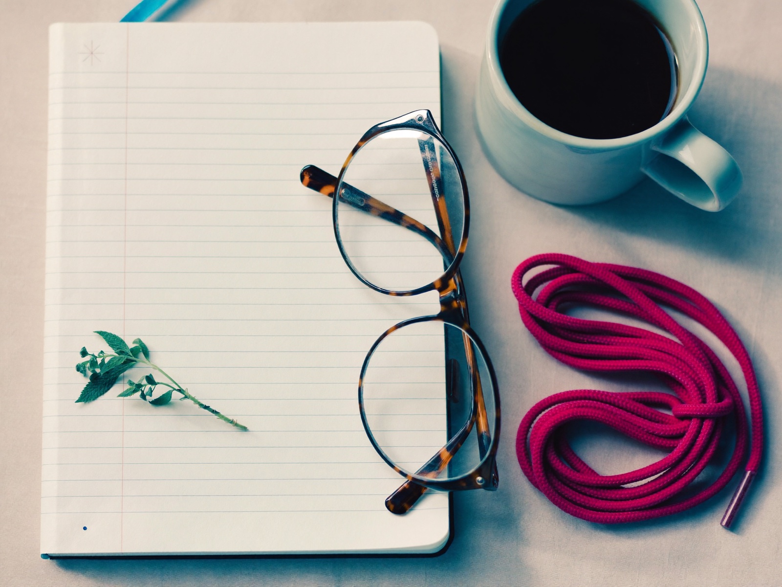 A notebook, reading glasses, a cup of coffee, a sprig of green, and a pair of laces on a linen table in morning light