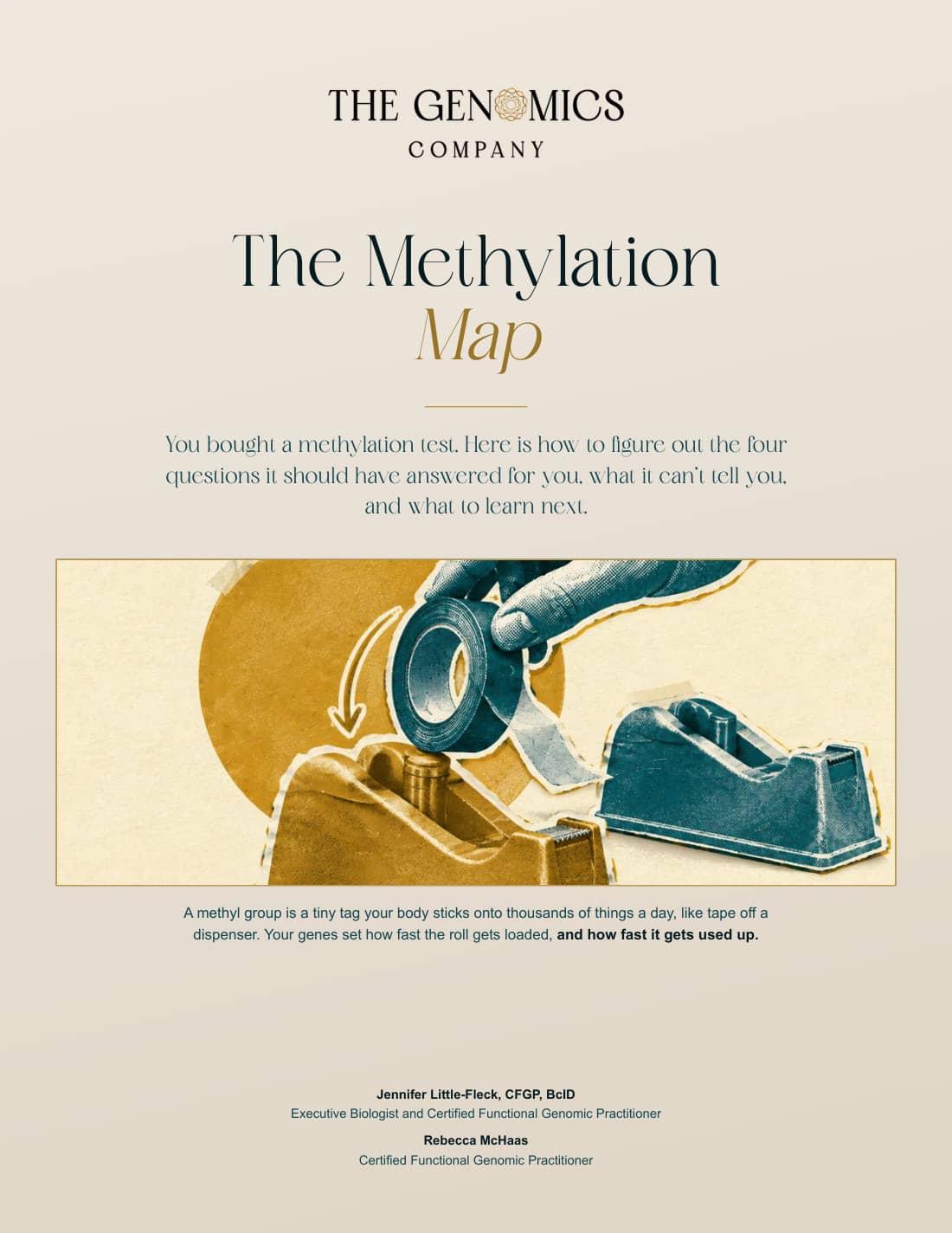 The cover of The Methylation Map