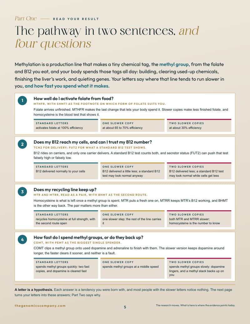 A page from The Methylation Map: the pathway in two sentences and the four questions